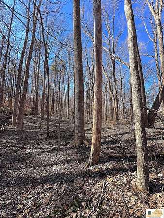 53.4 Acres of Recreational Land for Sale in Columbia, Kentucky