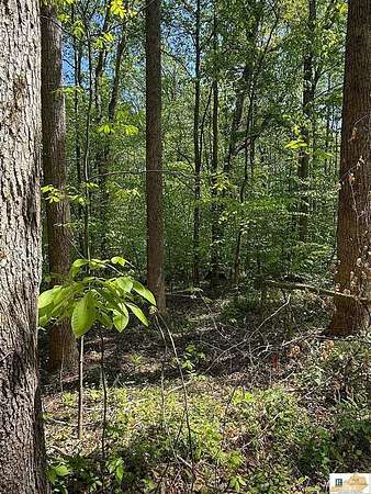 53.4 Acres of Recreational Land for Sale in Columbia, Kentucky