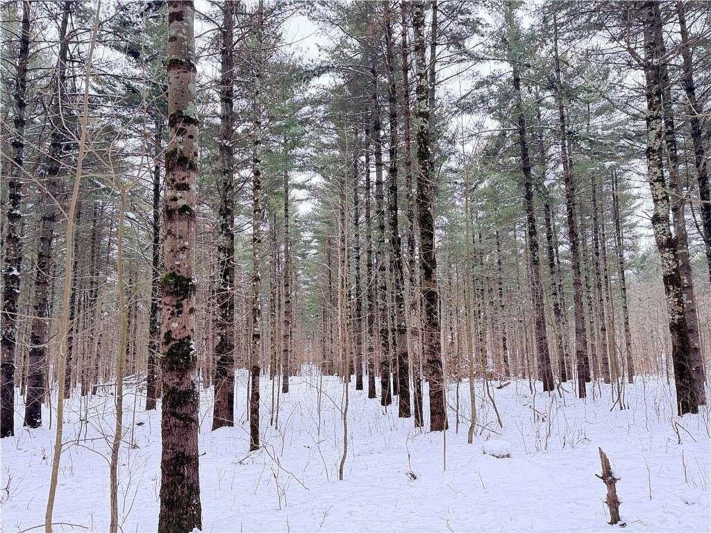 20 Acres of Recreational & Residential Land for Sale in Rice Lake, Wisconsin