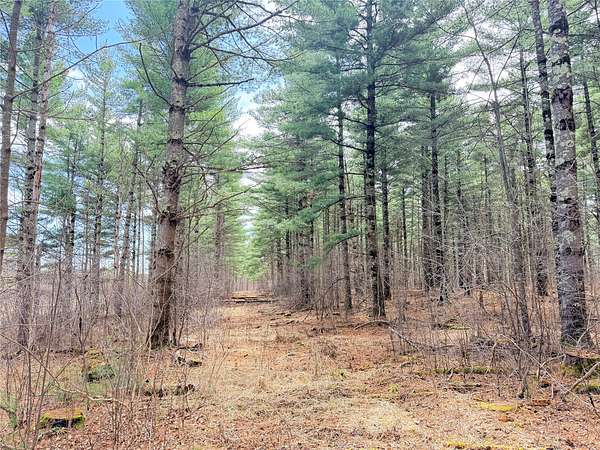 20 Acres of Land for Sale in Rice Lake, Wisconsin