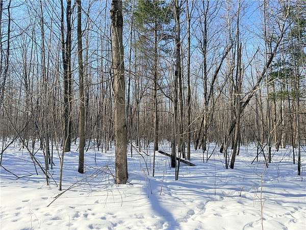17.7 Acres of Land for Sale in Rice Lake, Wisconsin