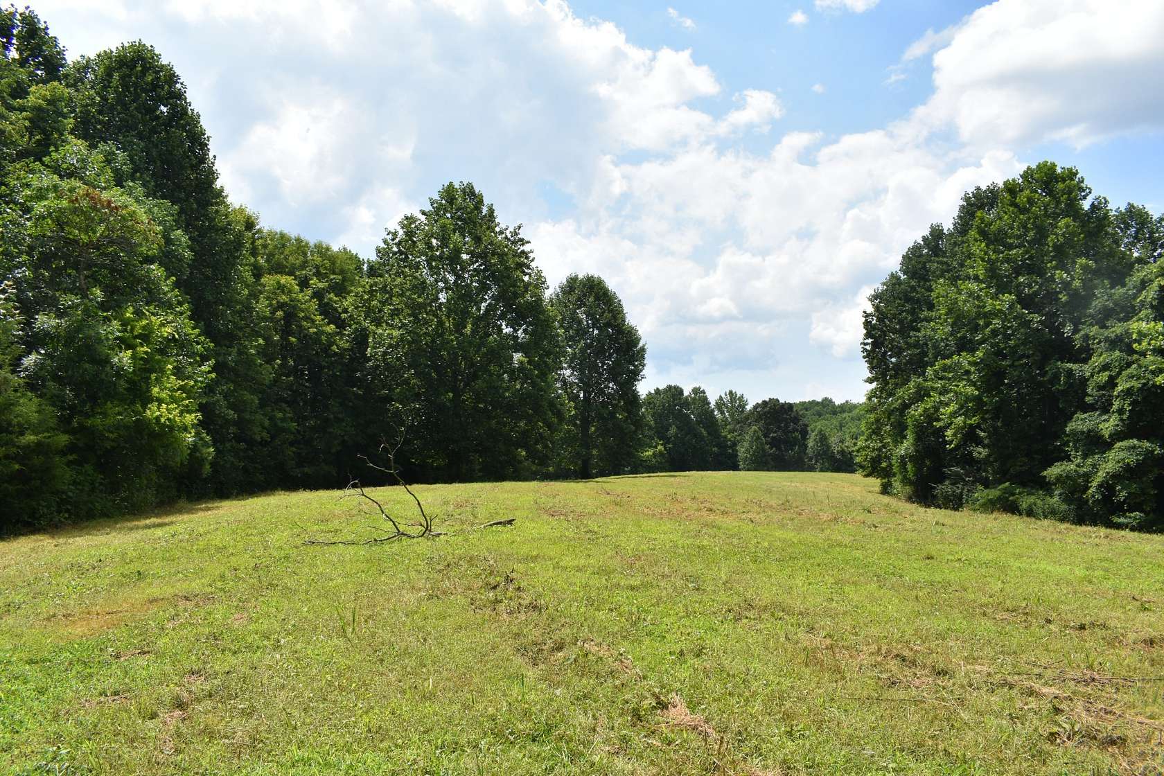 32.3 Acres of Recreational & Residential Land for Sale in Pleasant Shade, Tennessee