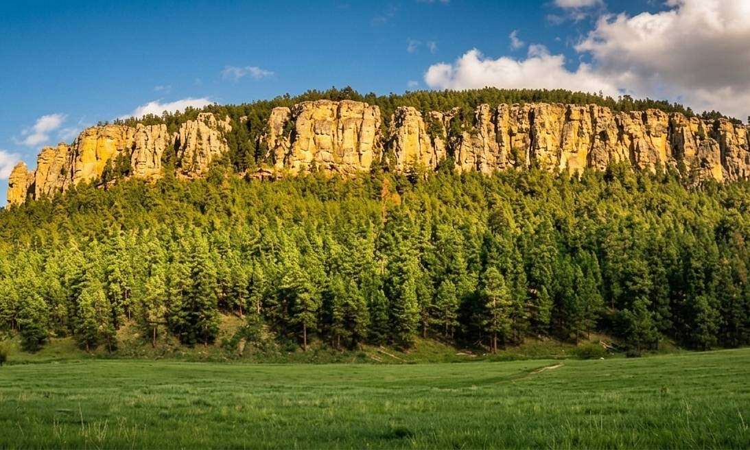 4.8 Acres of Residential Land for Sale in Nemo, South Dakota