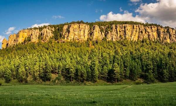 4.8 Acres of Residential Land for Sale in Nemo, South Dakota