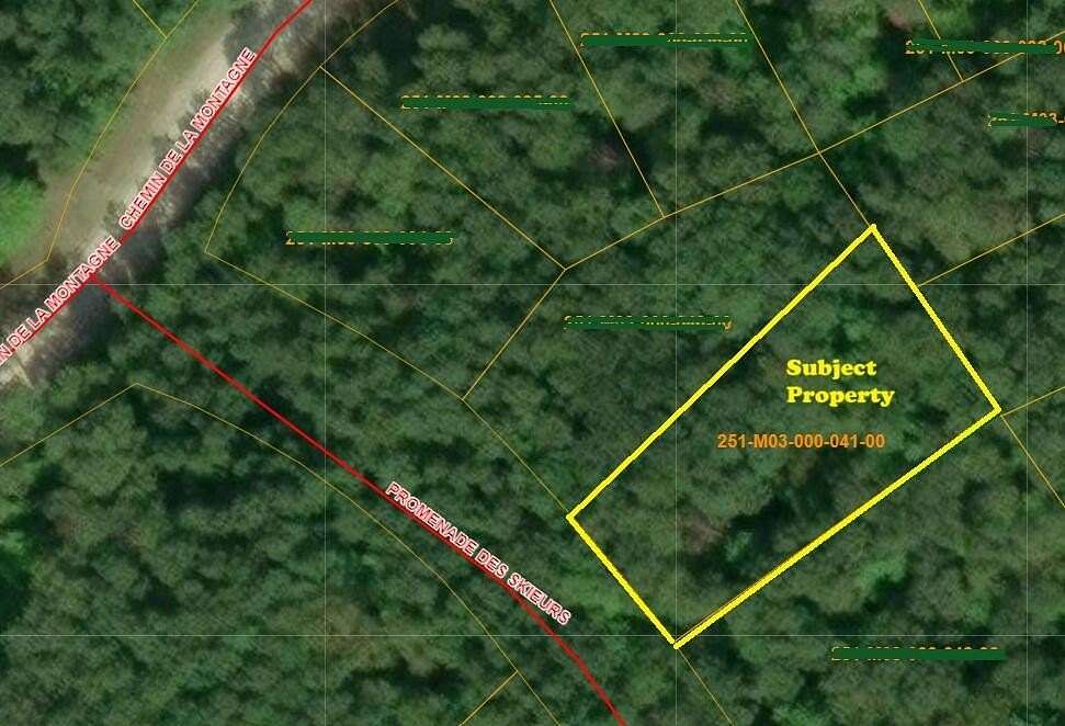 0.41 Acres of Land for Sale in Wolverine, Michigan