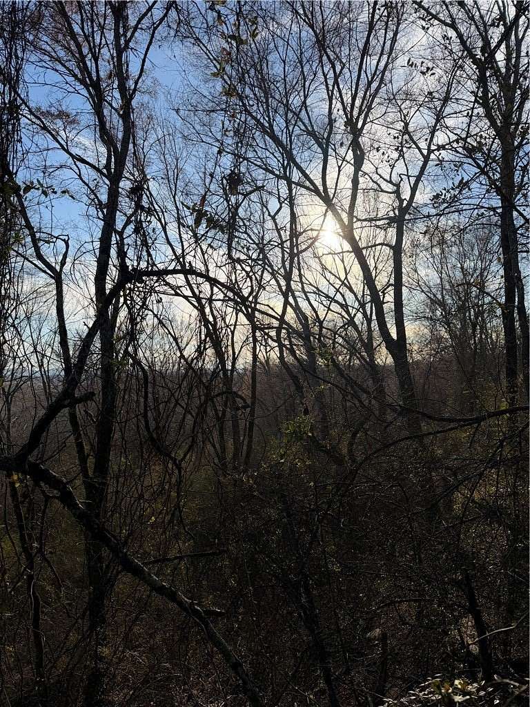 52 Acres of Land for Sale in Morrilton, Arkansas