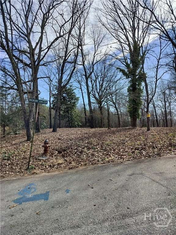 1 Acre of Land for Sale in Eastanollee, Georgia