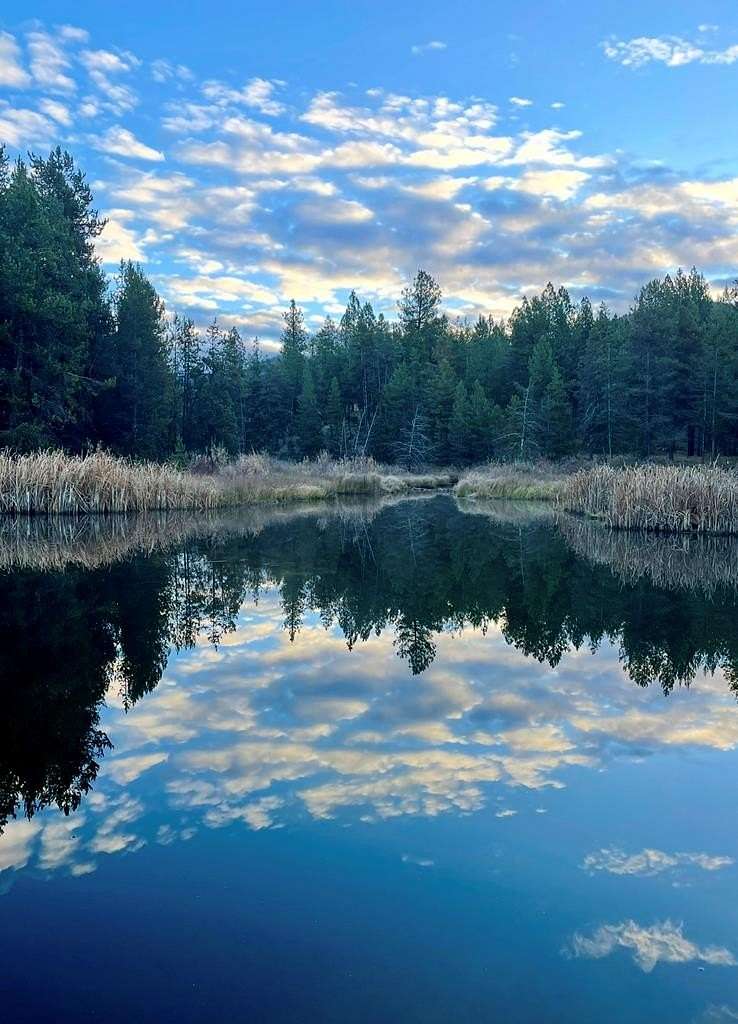 4 Acres of Land for Sale in Cascade, Idaho