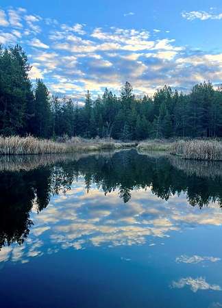 4 Acres of Land for Sale in Cascade, Idaho