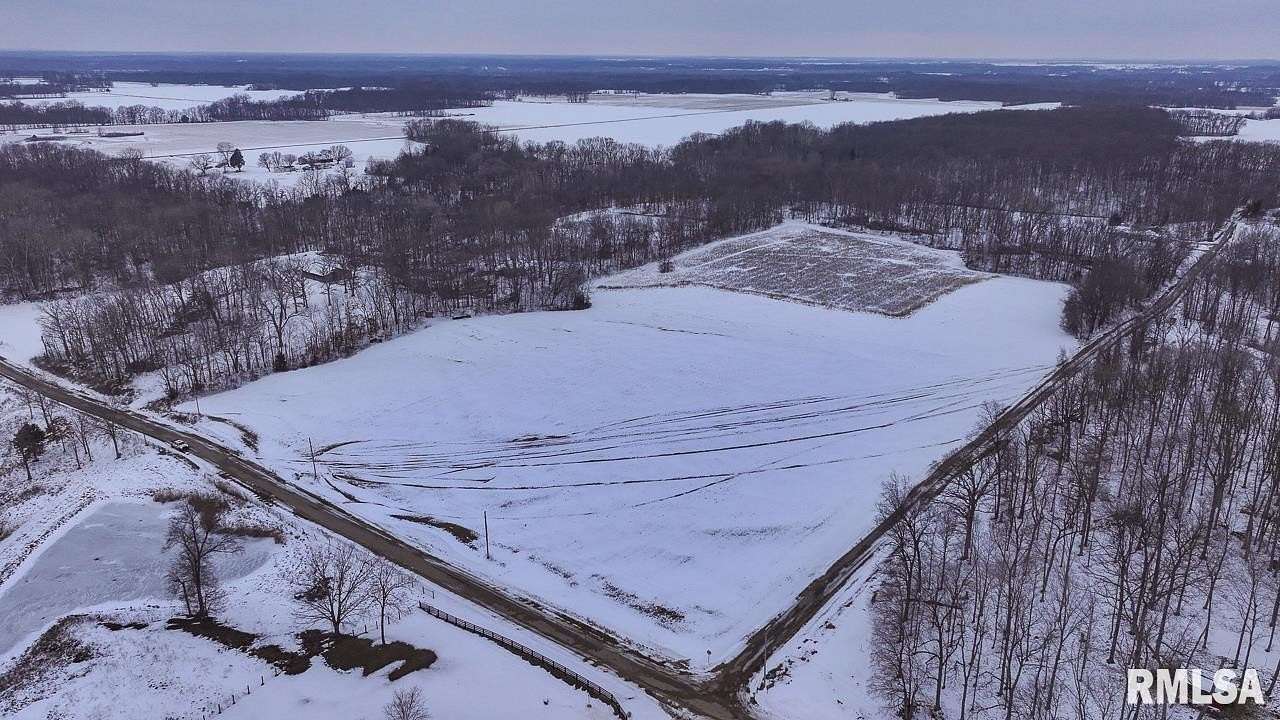 20 Acres of Land for Sale in Brownstown, Illinois