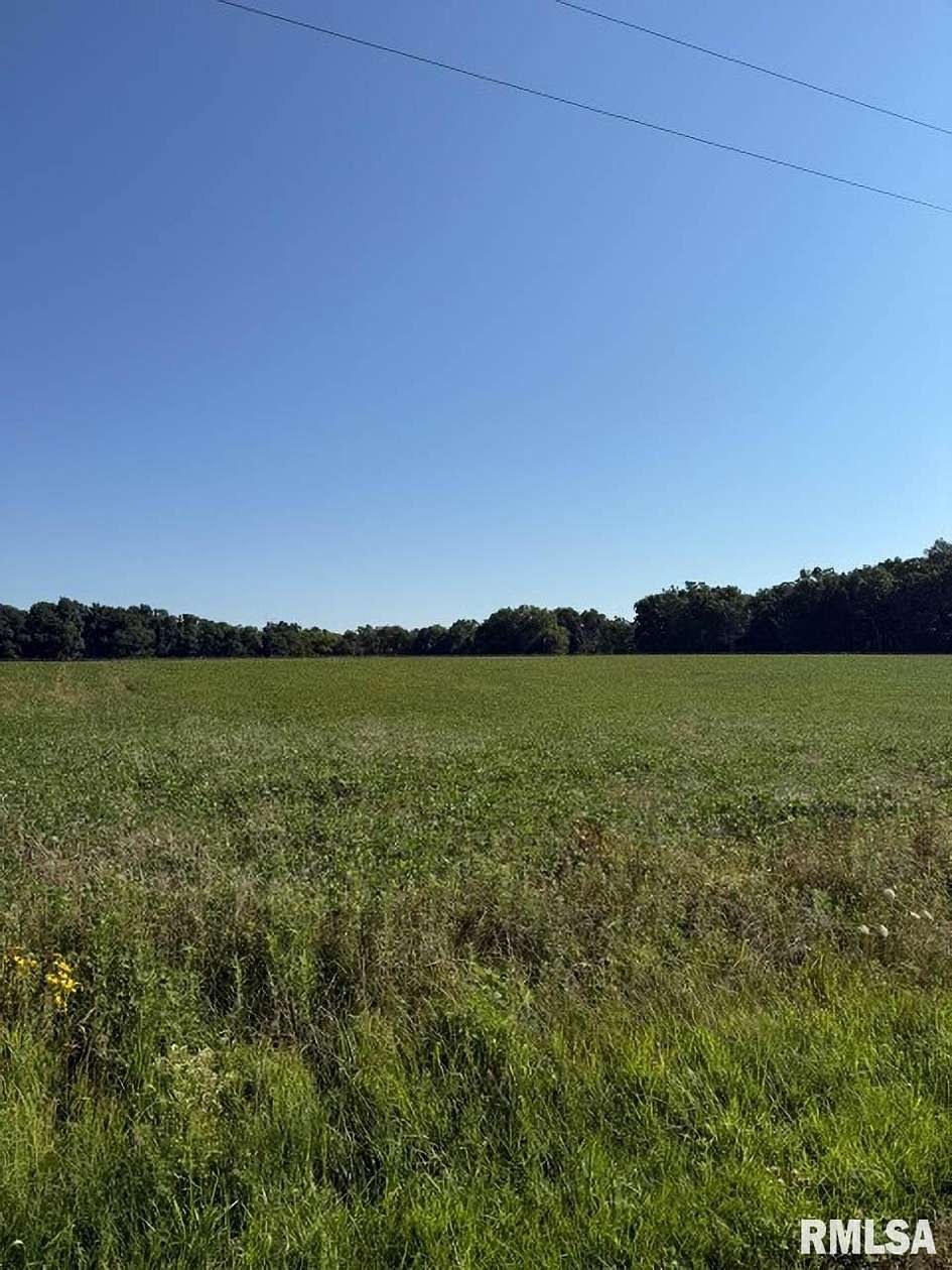 20 Acres of Land for Sale in Brownstown, Illinois