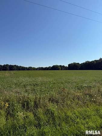 20 Acres of Land for Sale in Brownstown, Illinois