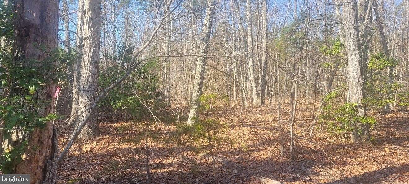 44.4 Acres of Land for Sale in Mineral, Virginia