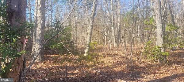 44.4 Acres of Land for Sale in Mineral, Virginia