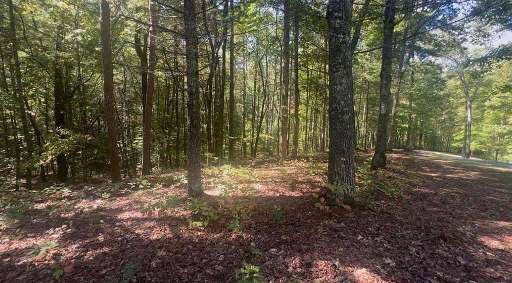 Residential Land for Sale in Murphy, North Carolina