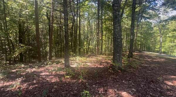 Residential Land for Sale in Murphy, North Carolina
