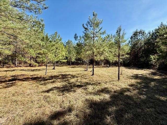 66.8 Acres of Land for Sale in Kirbyville, Texas