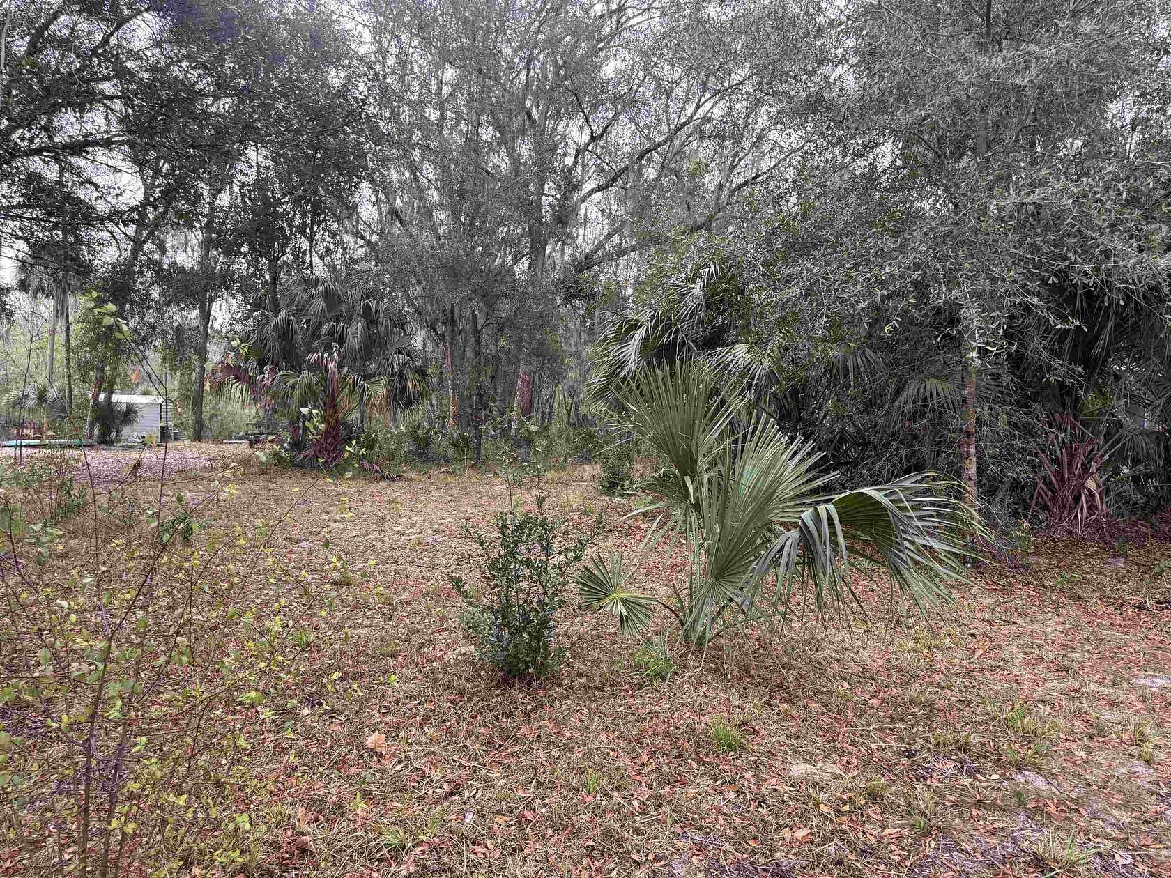 1 Acre of Residential Land for Sale in East Palatka, Florida