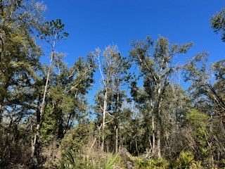 5 Acres of Land for Sale in Old Town, Florida