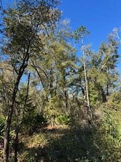 5 Acres of Land for Sale in Old Town, Florida