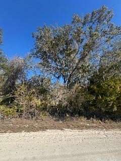 5 Acres of Land for Sale in Old Town, Florida