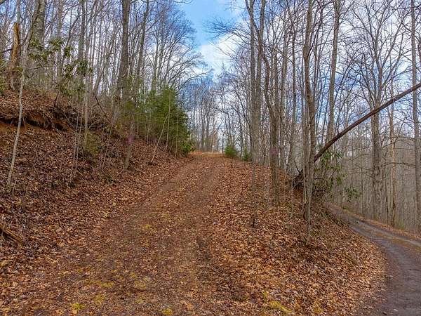 58.2 Acres of Recreational Land for Sale in Franklin, North Carolina