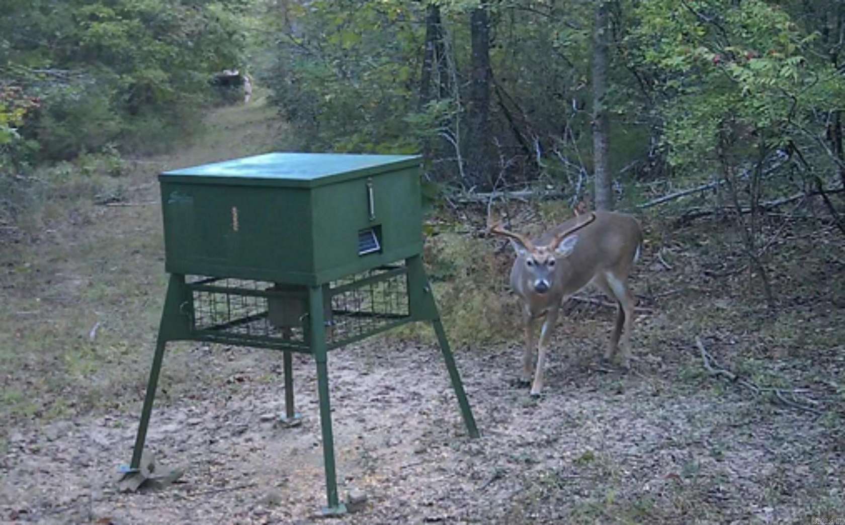 61.2 Acres of Recreational & Residential Land for Sale in Damascus, Arkansas