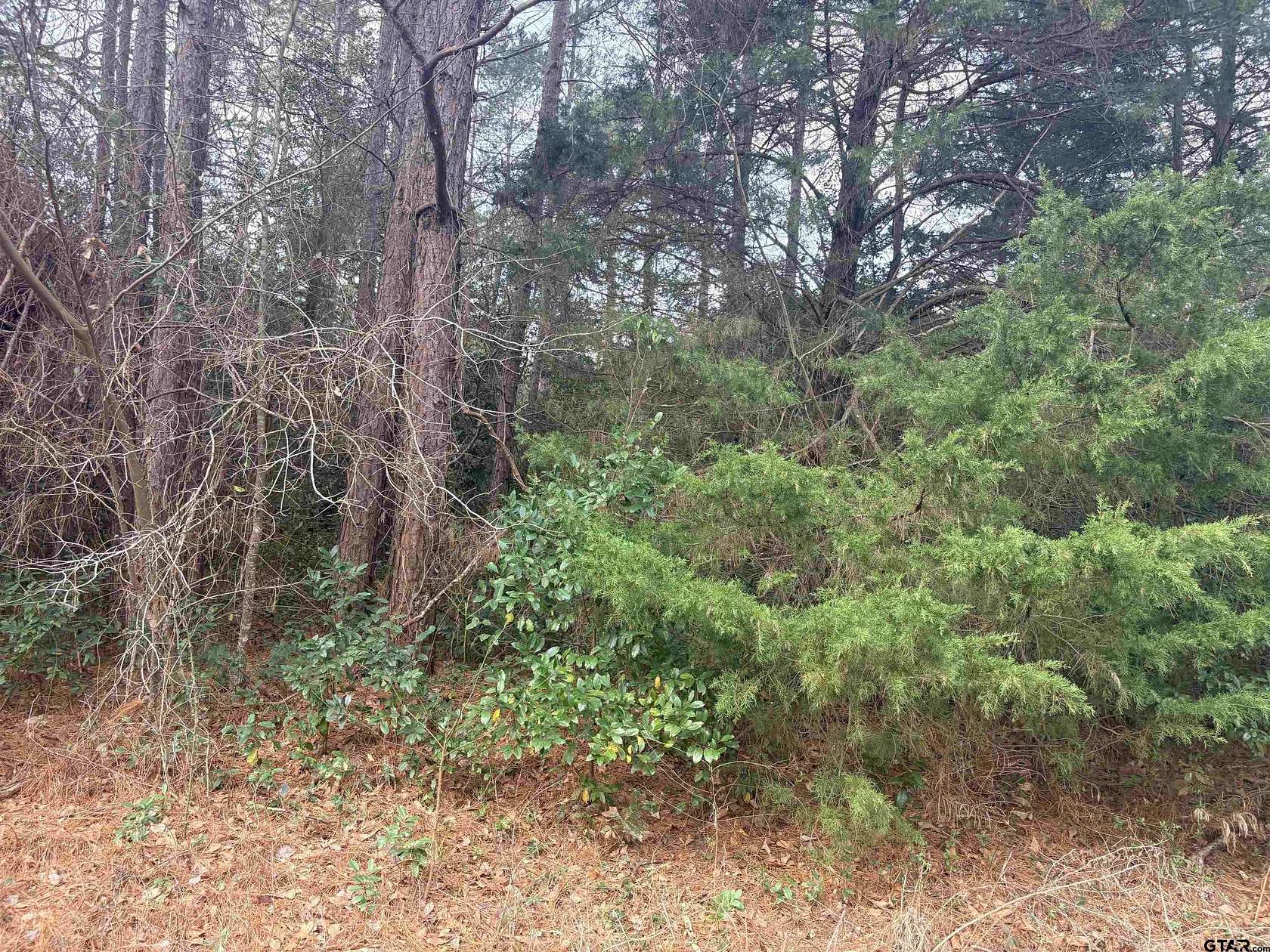 0.17 Acres of Residential Land for Sale in Bullard, Texas