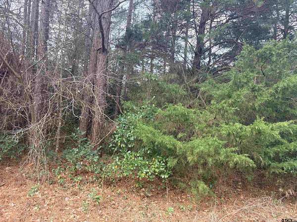 0.17 Acres of Residential Land for Sale in Bullard, Texas