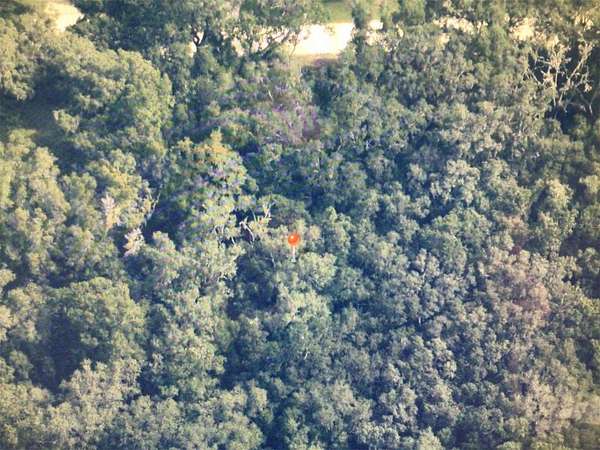 1 Acre of Residential Land for Sale in Dunnellon, Florida