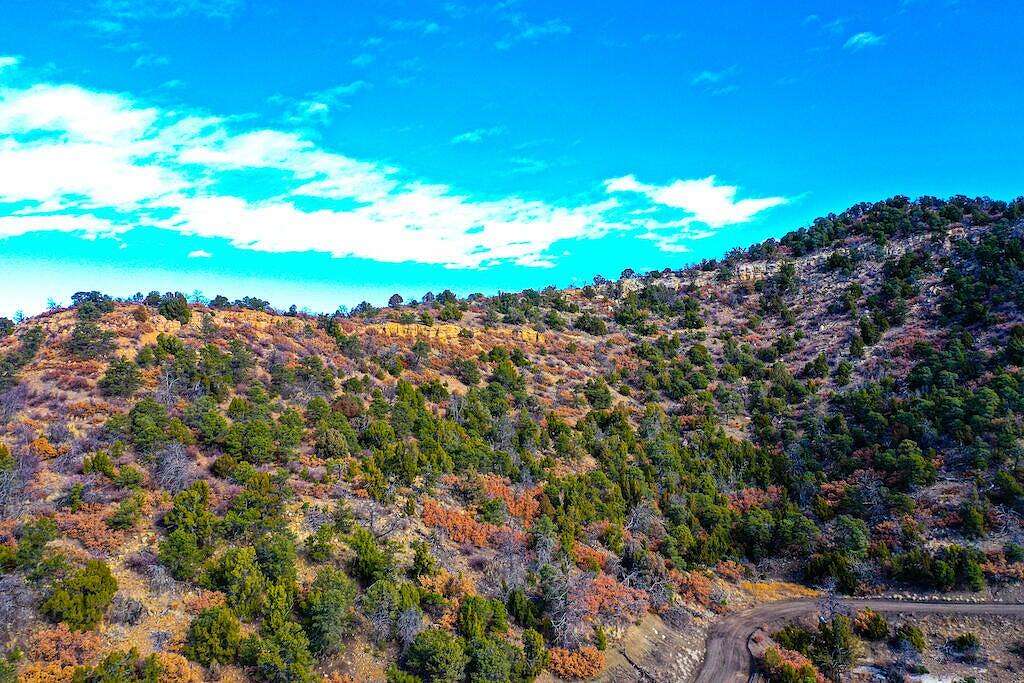 37 Acres of Land for Sale in Trinidad, Colorado