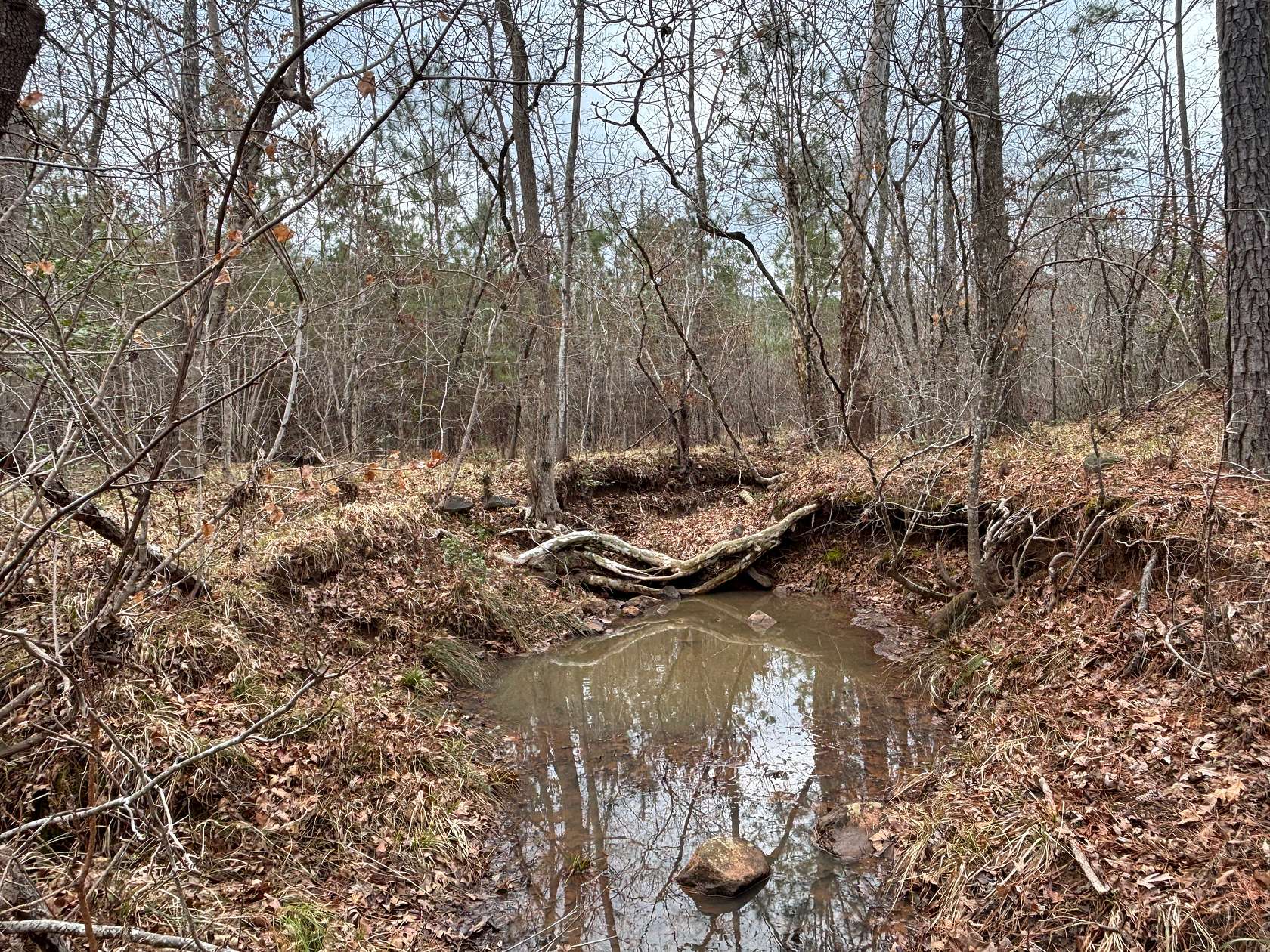 68 Acres of Recreational Land for Sale in Rocky Springs Township, North Carolina