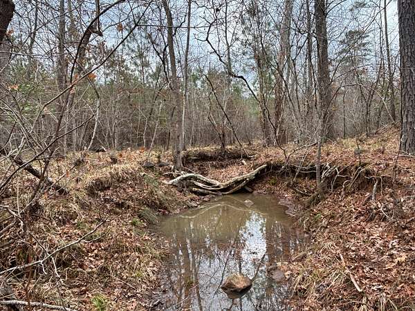 68 Acres of Recreational Land for Sale in Rocky Springs Township, North Carolina