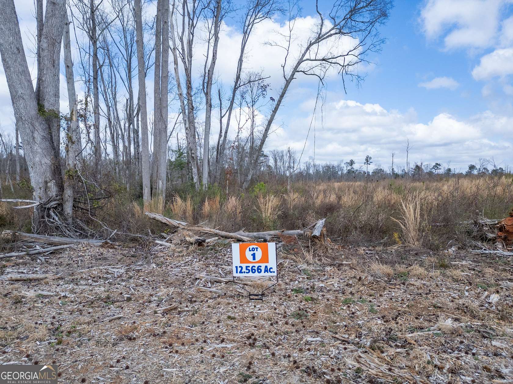 13 Acres of Land for Sale in Jackson, Georgia
