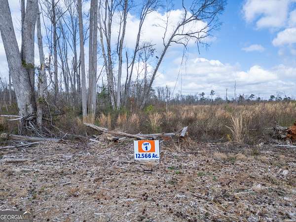 13 Acres of Land for Sale in Jackson, Georgia