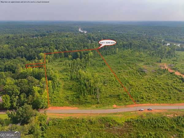 13 Acres of Land for Sale in Jackson, Georgia
