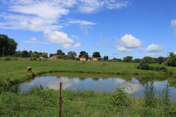 6 Acres of Land for Auction in Dowelltown, Tennessee