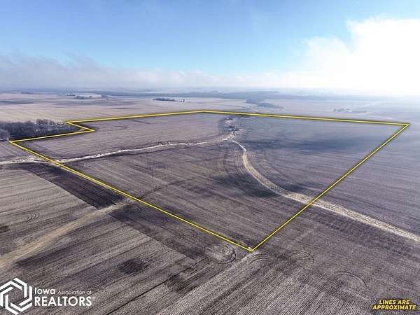 146 Acres of Agricultural Land for Sale in Buckingham, Iowa