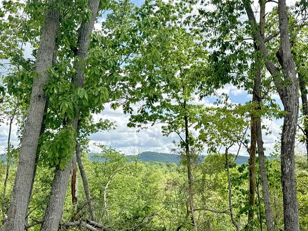 4.2 Acres of Residential Land for Sale in Irvine, Kentucky