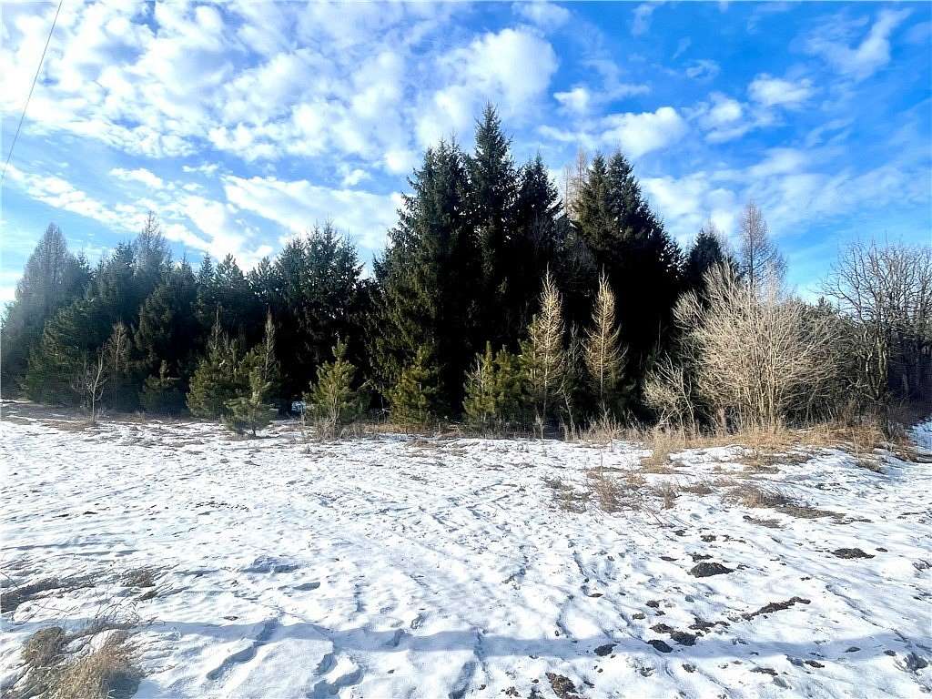 46.7 Acres of Recreational & Residential Land for Sale in Colfax, Wisconsin