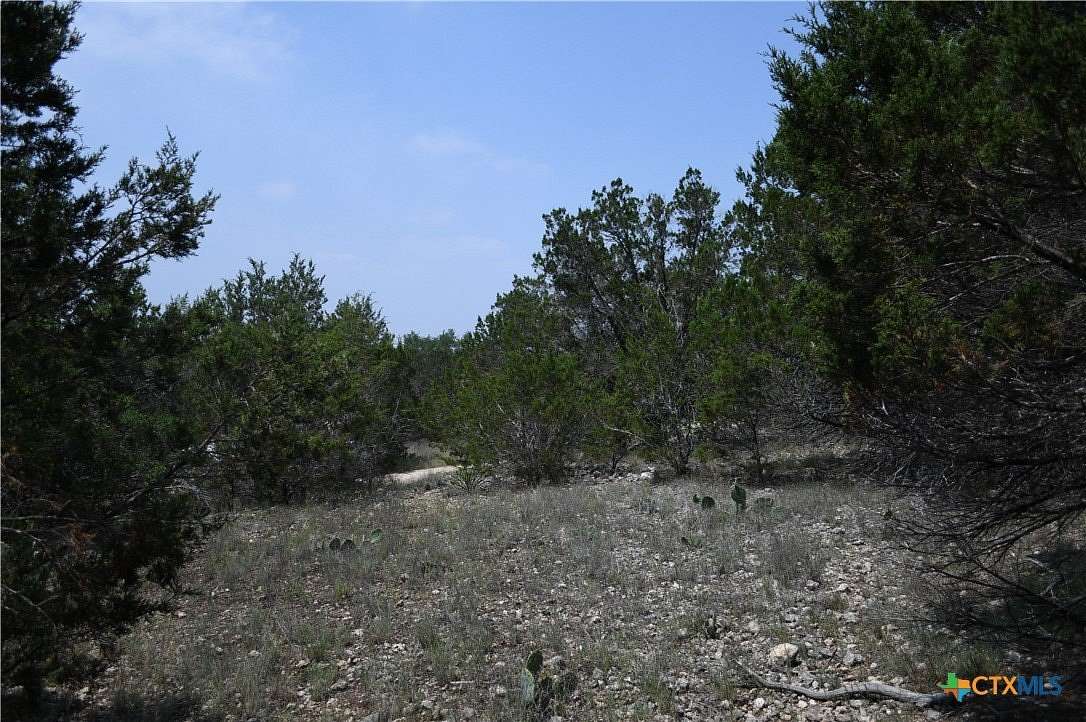 0.2 Acres of Residential Land for Sale in Spring Branch, Texas