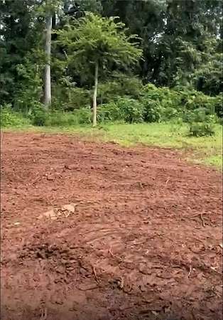 0.33 Acres of Residential Land for Sale in Atlanta, Georgia