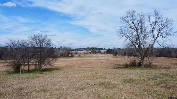 68.6 Acres of Agricultural & Residential Land for Sale in Linden, Texas