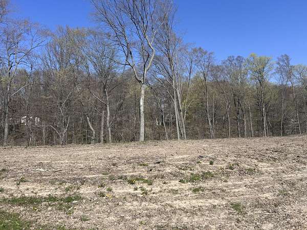 0.17 Acres of Residential Land for Sale in Caledonia, Michigan