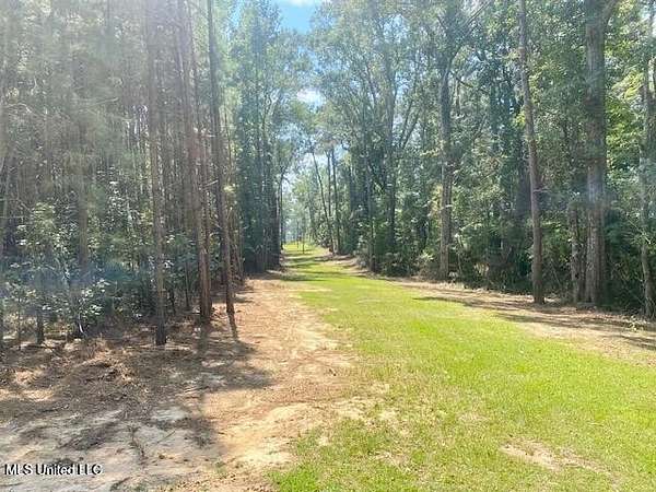 10 Acres of Recreational & Residential Land for Sale in Smithdale, Mississippi