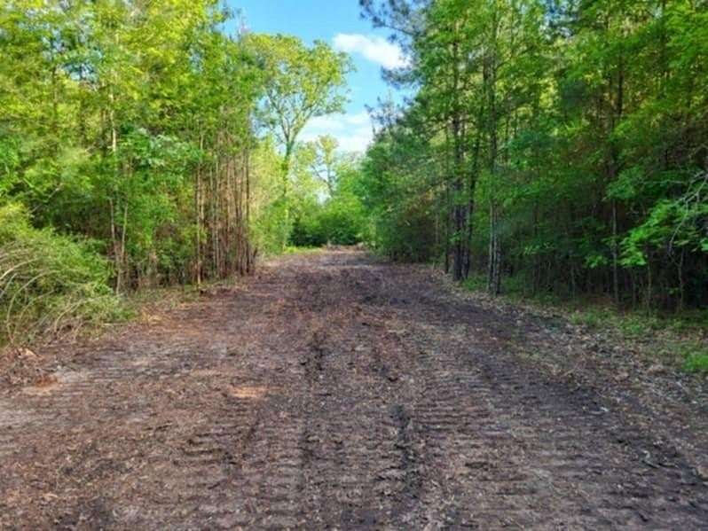 17.4 Acres of Recreational & Residential Land for Sale in Huntington, Texas