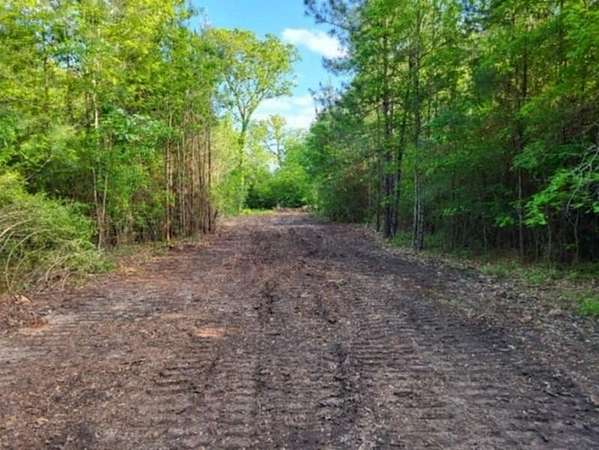 17.4 Acres of Recreational & Residential Land for Sale in Huntington, Texas