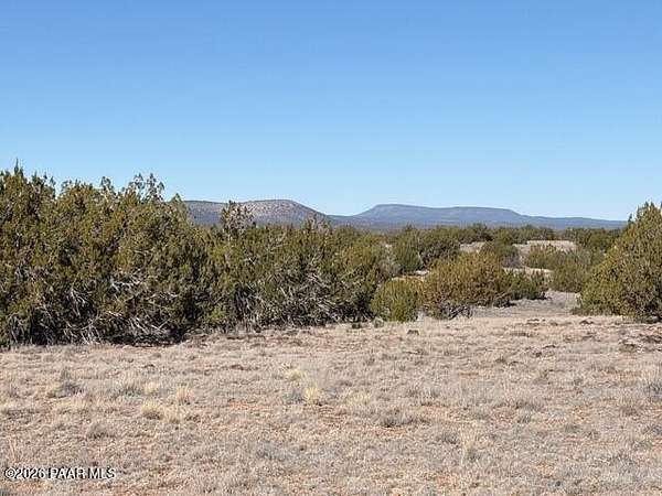 38 Acres of Land for Sale in Seligman, Arizona