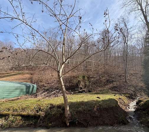 69 Acres of Recreational & Residential Land for Sale in Canada, Kentucky