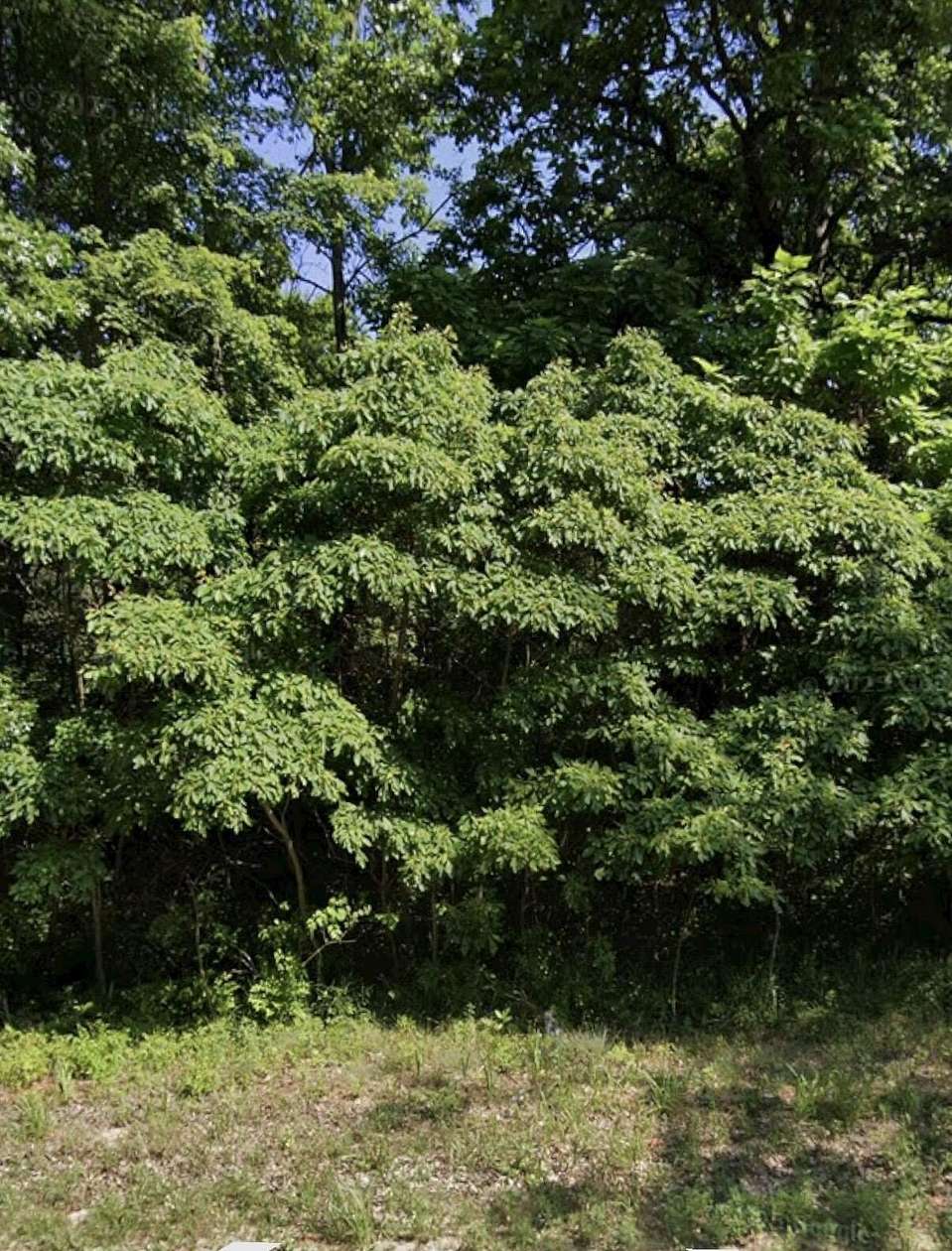 77 Acres of Recreational Land for Sale in Pullman, Michigan